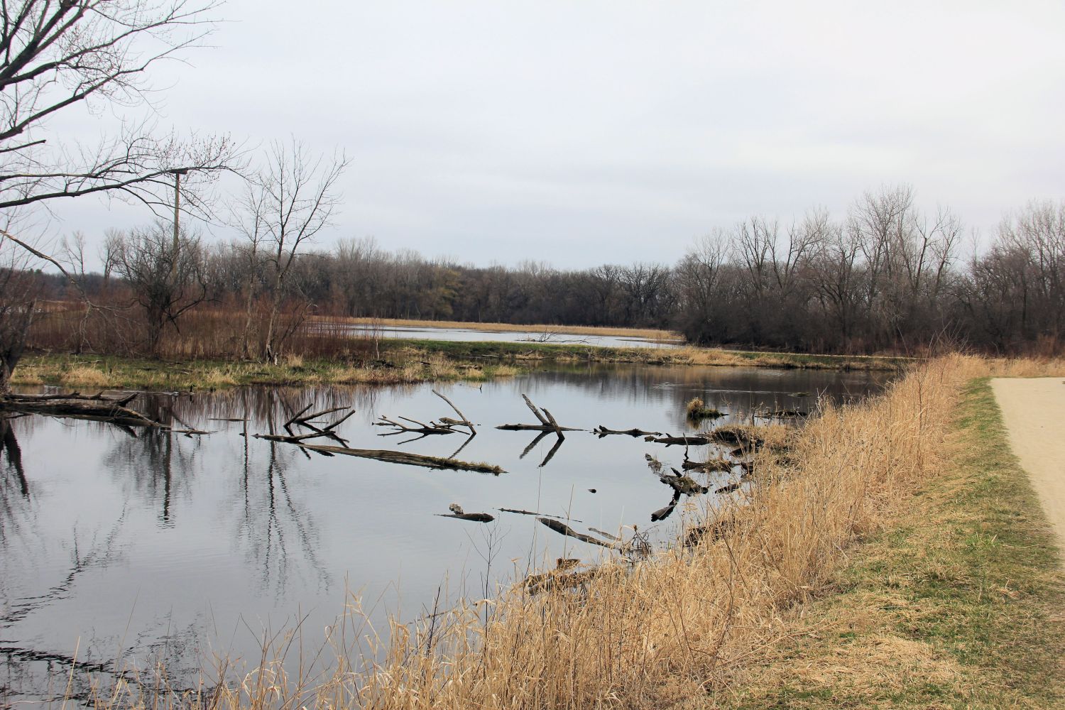 McHenry Dam State Park 